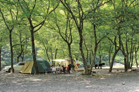 016八木キャンプ場